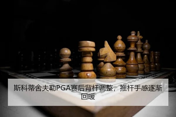 si-ke-di-she-fu-lei-sai-hou-bei-gan-tiao-zheng-tui-gan-shou-gan-zhu-jian-hui-nuan-2-464.jpg